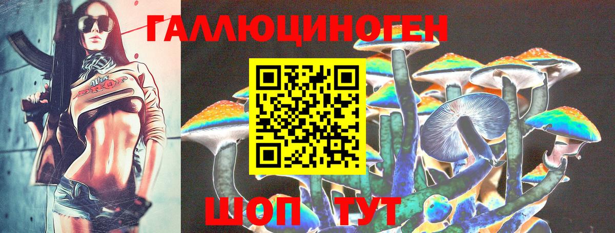 Галлюциногенные грибы Psilocybe  Псилоцибиновые грибы MAGIC MUSHROOMS  Знаменск  Вход с VPN 