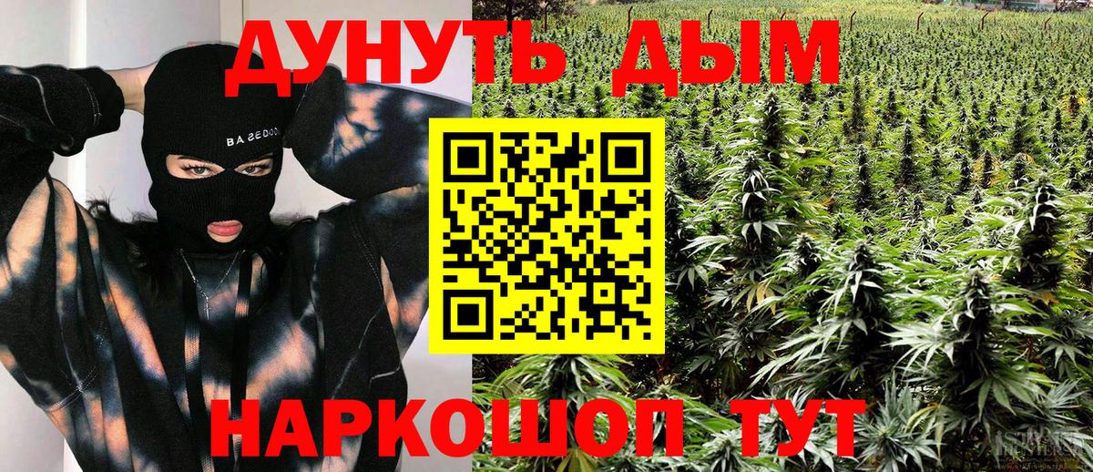 Знаменск  Шишки марихуана Amnesia  Шишки марихуана план  Вход с VPN 